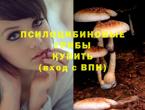 ECSTASY Гусиноозёрск