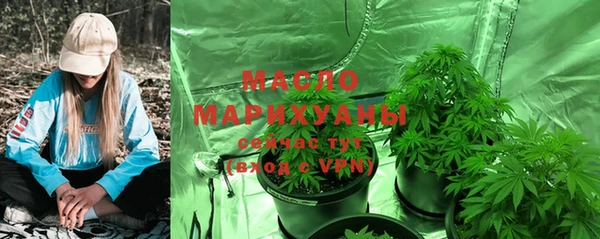 МДПВ Михайлов
