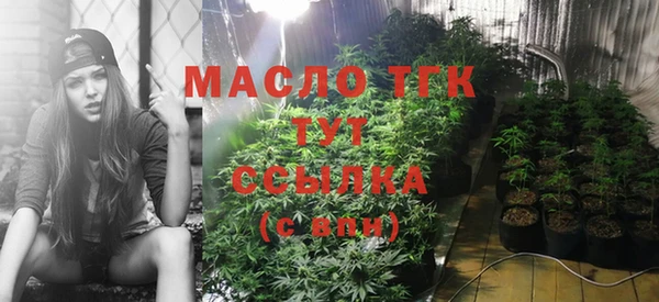 МДПВ Михайлов