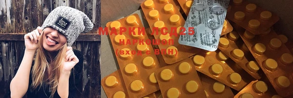 МДПВ Михайлов