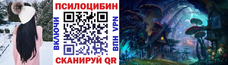где найти наркотики  Переславль-Залесский  Псилоцибиновые грибы Magic Shrooms 