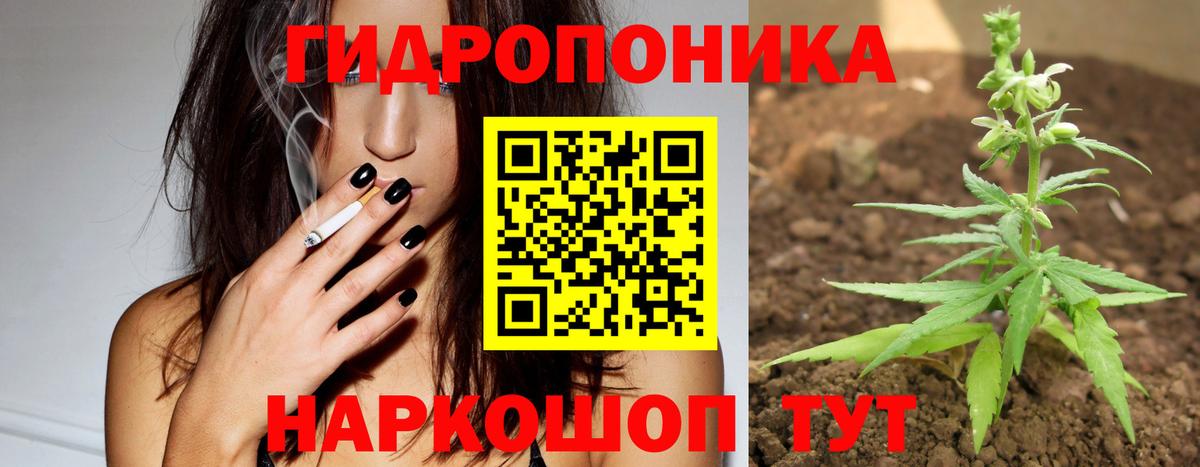 Бошки Шишки семена  Конопля THC 21%  Бошки Шишки THC 21%  Переславль-Залесский  Вход с VPN 